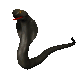 The flute of false promises has unleashed the serpent