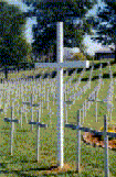 Memorial in Owensboro, Kentucky of 4000 small white crosses erected by St. Pius X parish to honor the number of unborns killed each day - photo from the Diocese of Owensboro web site