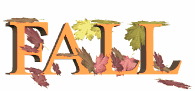 Special Fall Hiatus Issue