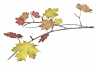 Special Fall Hiatus Issue