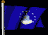 Air Force flag