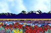 Flower fields with Palomar Mountain beyond