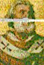 60. Pope Pelagius