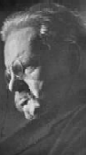 Portrait of a genius writer
